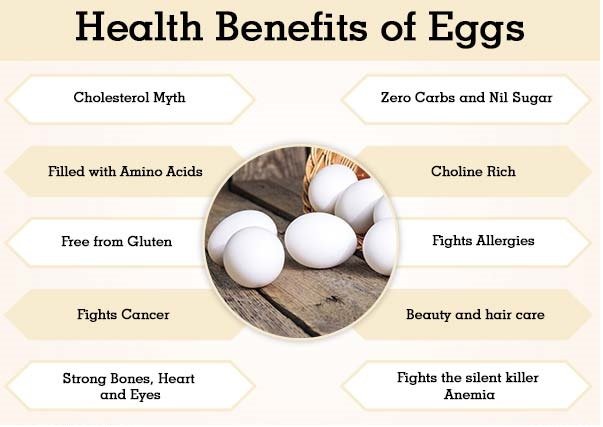 Advantages And Disadvantages of The Egg