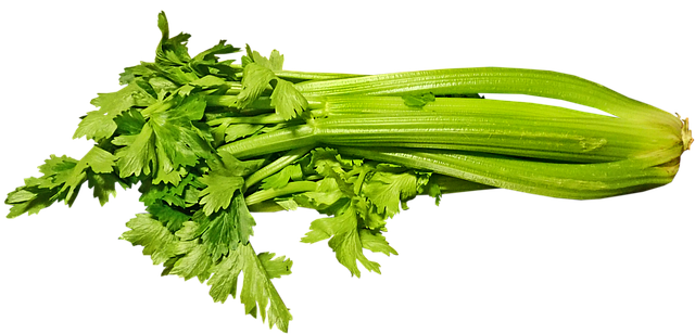 Benefits Of Celery Salt