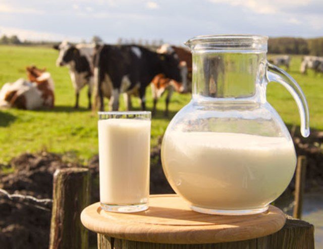 Health Benefits Of Cow's Milk