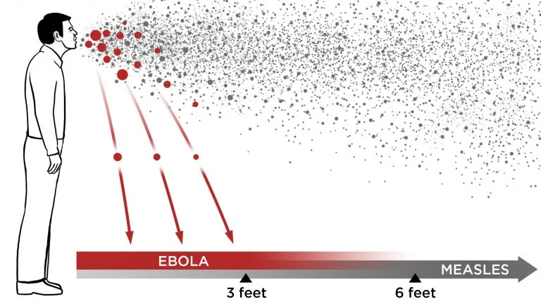 How Ebola Spreads