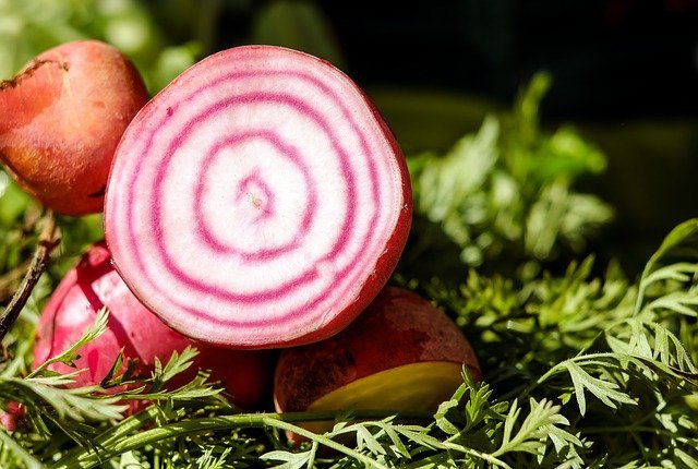 Properties And Benefits Of Turnip